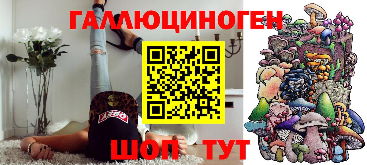 Псилоцибиновые грибы прущие грибы Отрадный