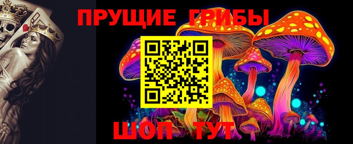 Отрадный  Галлюциногенные грибы MAGIC MUSHROOMS  Псилоцибиновые грибы Cubensis  Вход с VPN 